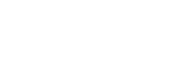 Iv Pluss